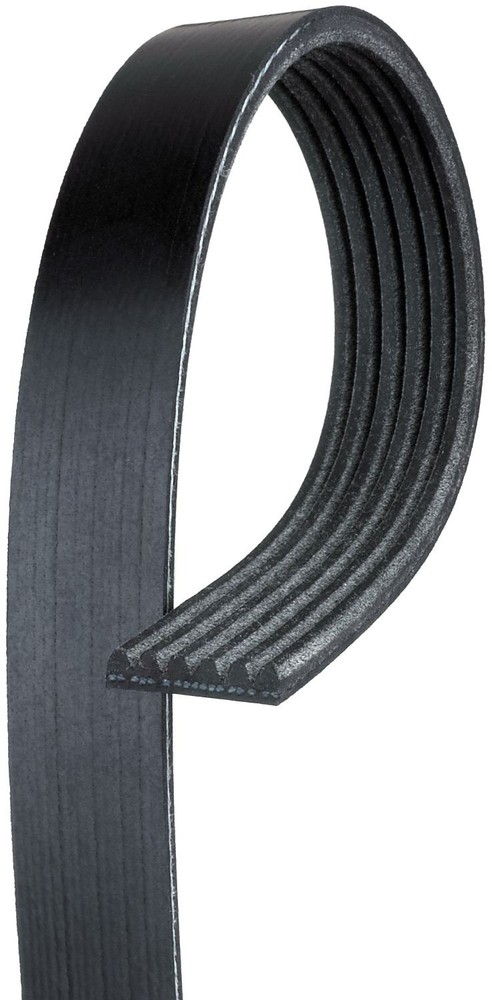 ACDelco 6K975 Serpentine Belt