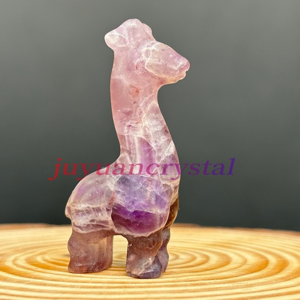 1.8 Inch Hand-Carved Amethyst Crystal Giraffe Skull Decor