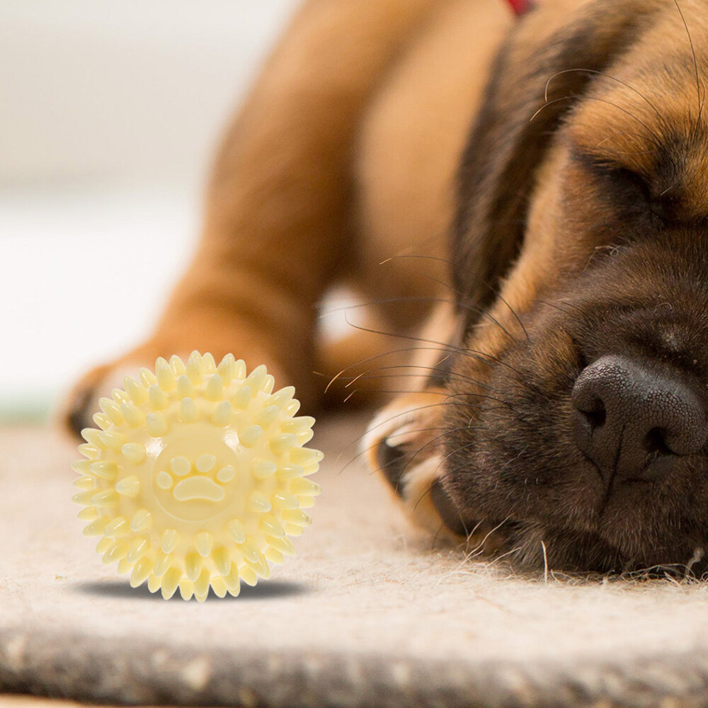 2Pcs Dog Molar Ball Dog Teething Toy Dog Chew Ball Pet Outdoor Interactive Ball