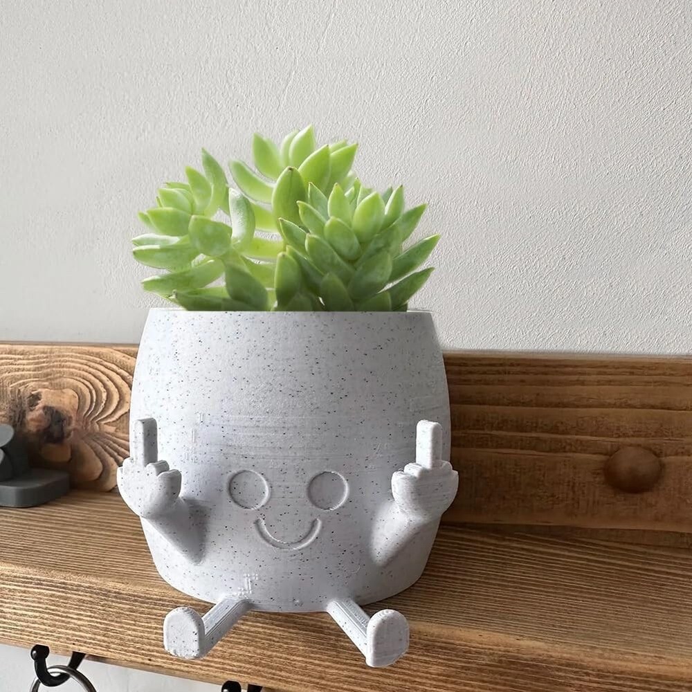 Smiling Plant Pot with Middle Fingers Up, Flower Pots for Succulents, Funny Resi