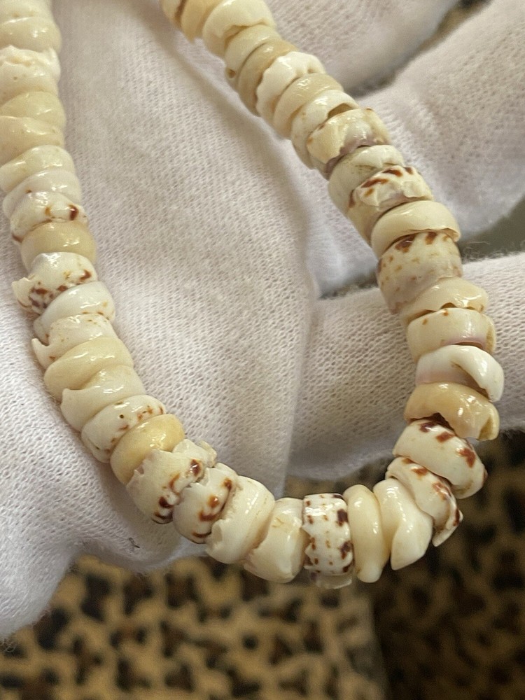 Vintage Hawaiian PUKA Bead  Tiger Shell Surfer Necklace Barrel Clasp 16 inch