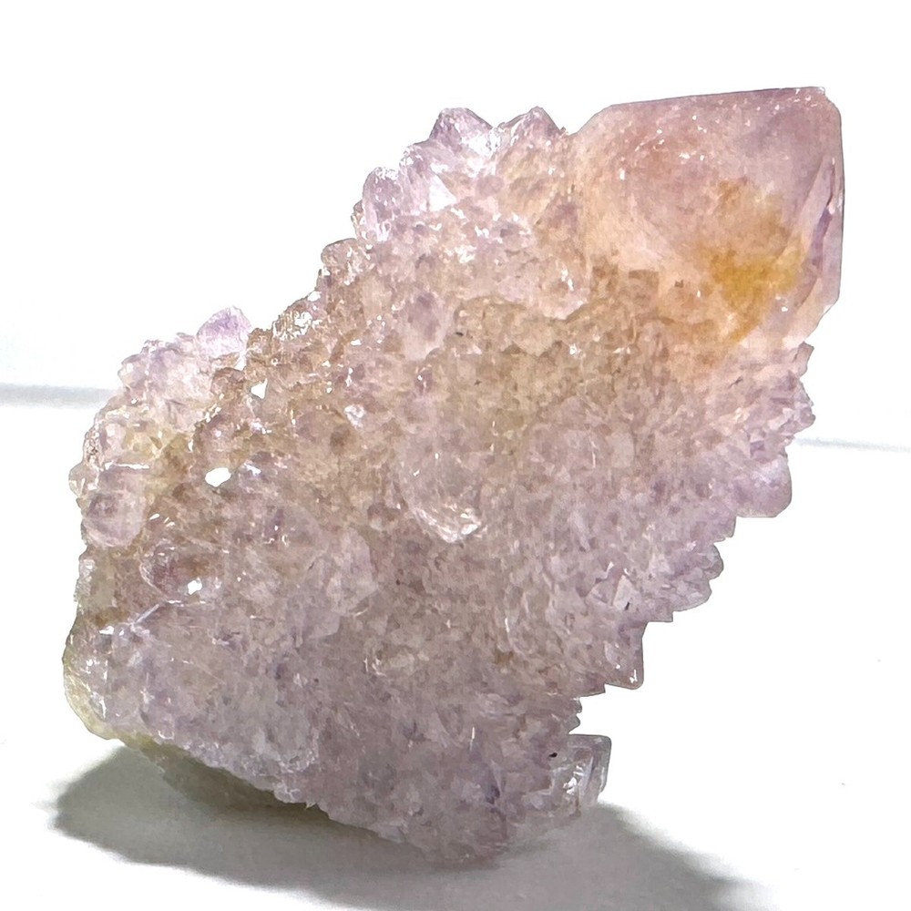 Tiny Amethyst Ametrine Spirit Quartz Cactus Crystal CC4669