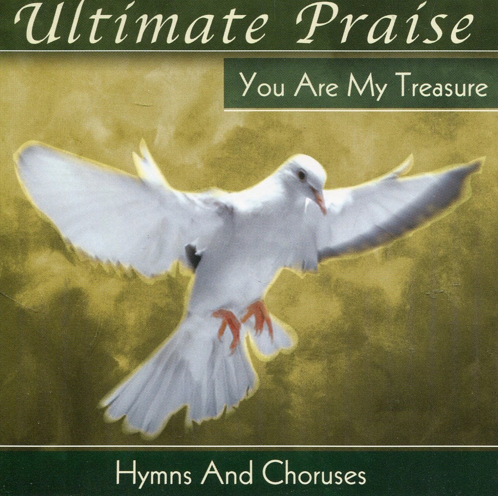 Various Artists Ultimate Praise: You Are My Treasure (CD)
