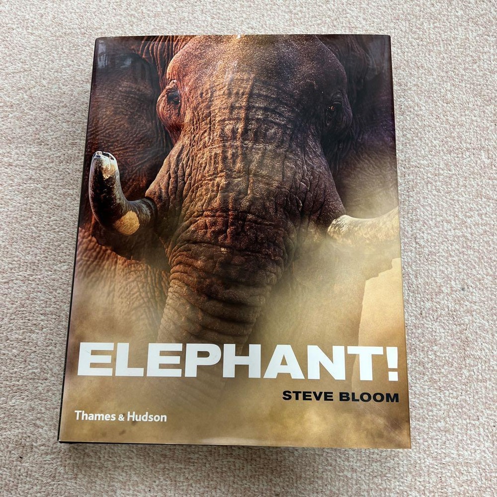 Majestic Elephant Wildlife Photo Series  