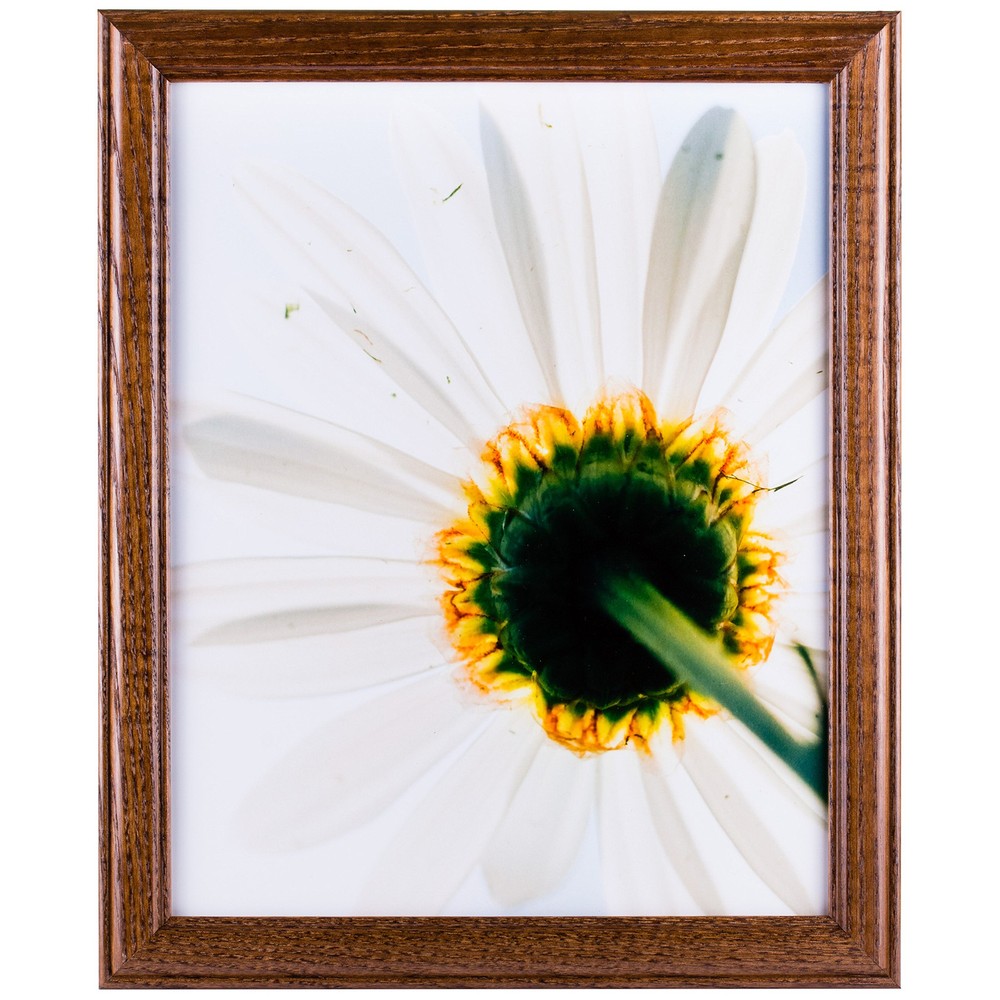 Wiltshire 236 Brown Hardwood Picture Frame 4x6 Inch Simple Elegant Design