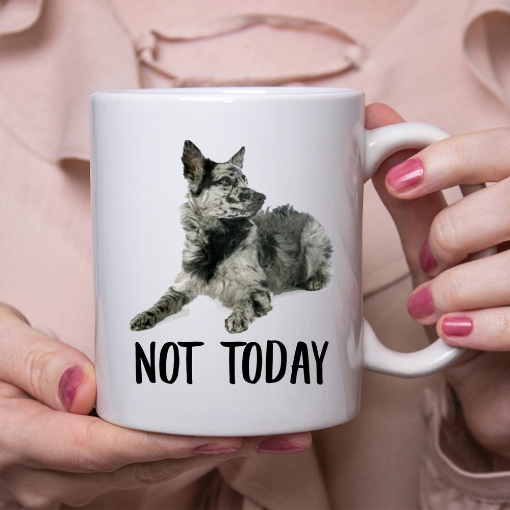 Funny Mudi Blue Not Today Dog Mug Lazy Gift For Women Dogs Mom Coffee Mug