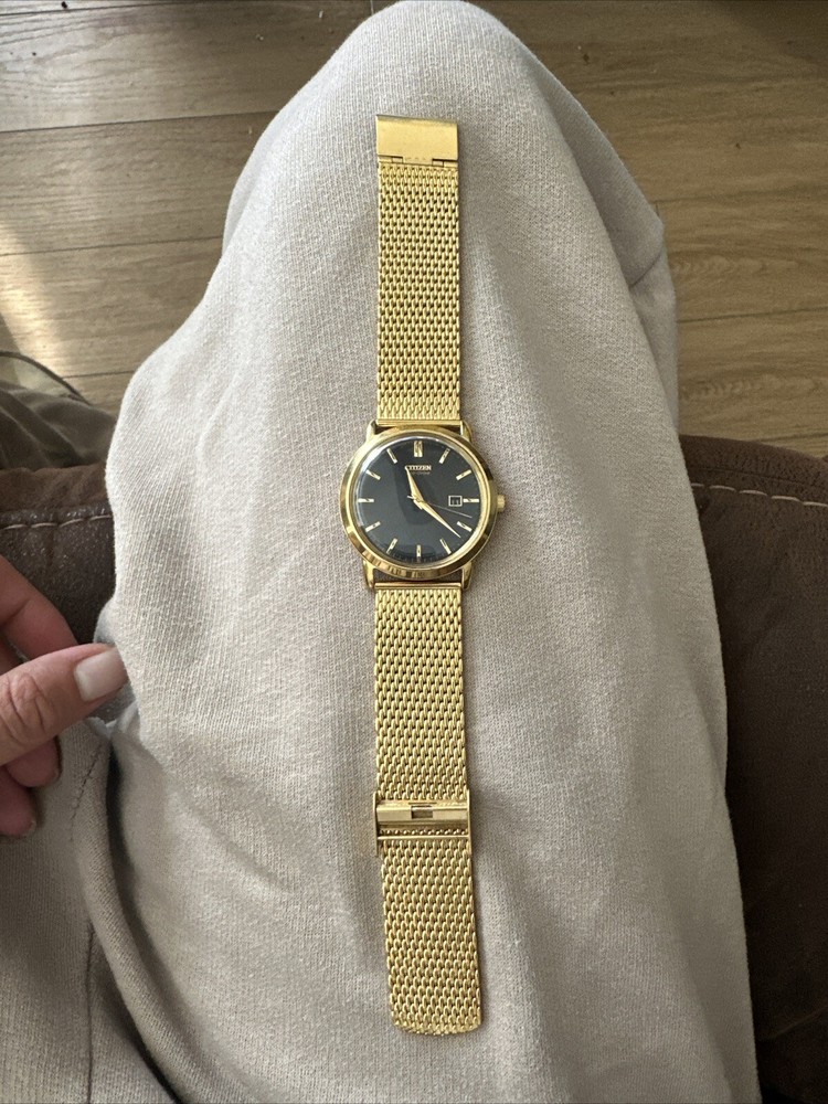 citizen eco-drive mens watch