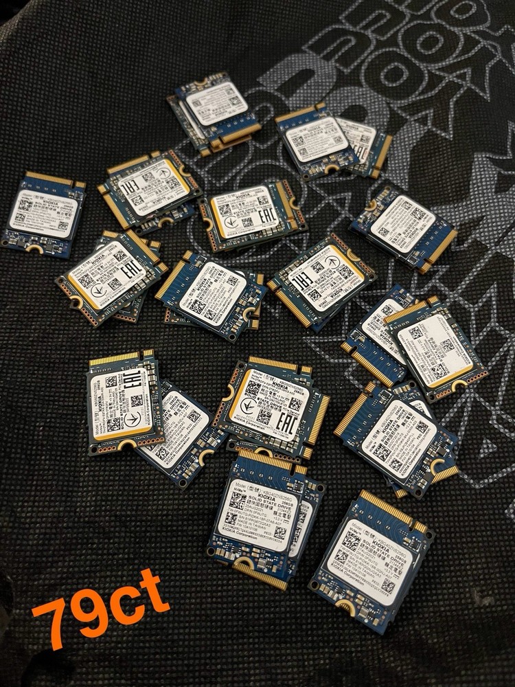 Kioxia 256gb Nvme Ssd (KBG5OZNS2560) (KBG40ZNS256G)