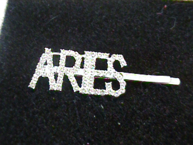 NWOT RHINESTONE ARIES ZODIC HAIR BOBBY PIN
