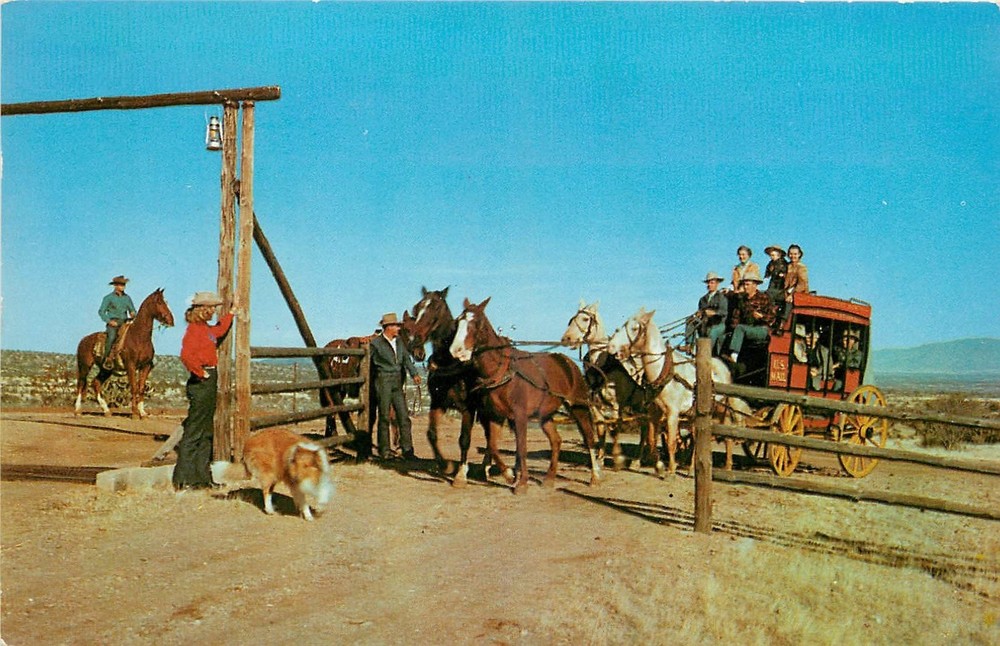 1950s Wickenburg Arizona Flying E Ranch animals occupation Postcard 25-6909