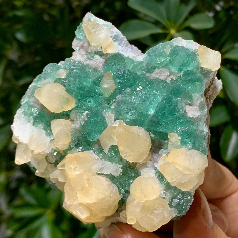 374G Rare Transparent Green Cubic Fluorite Crystal Specimen from China