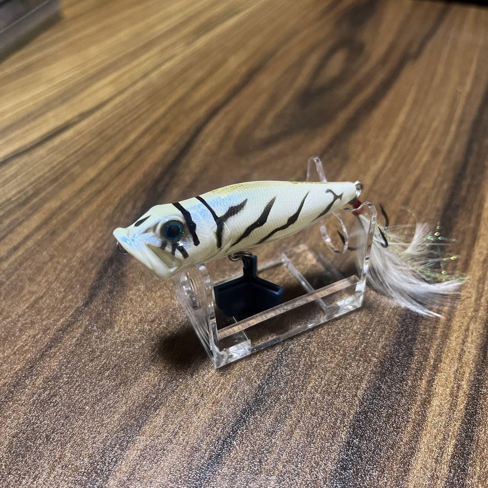 Fishing Lure 2 Shop Limited Color Megabass Popx