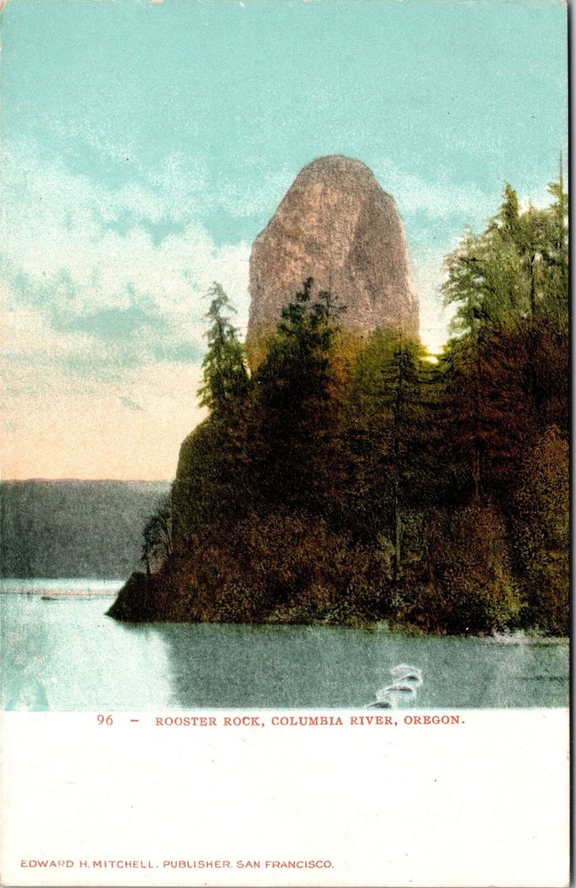 Vintage Rooster Rock Columbia River Oregon Souvenir Postcard
