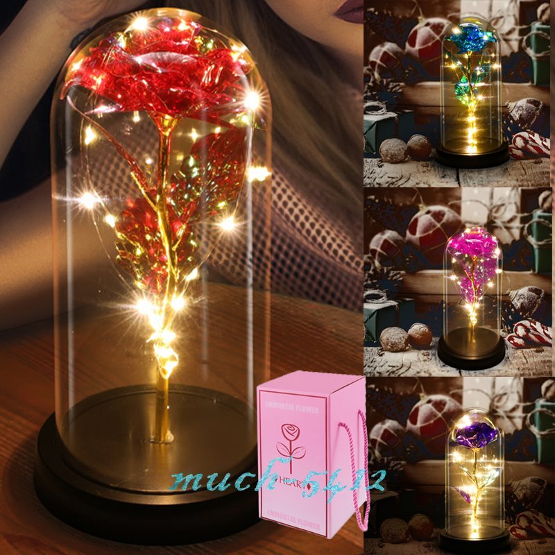 Rose In Glass Dome Preserved Gift LED Night Light Flower Anniversaries Christmas