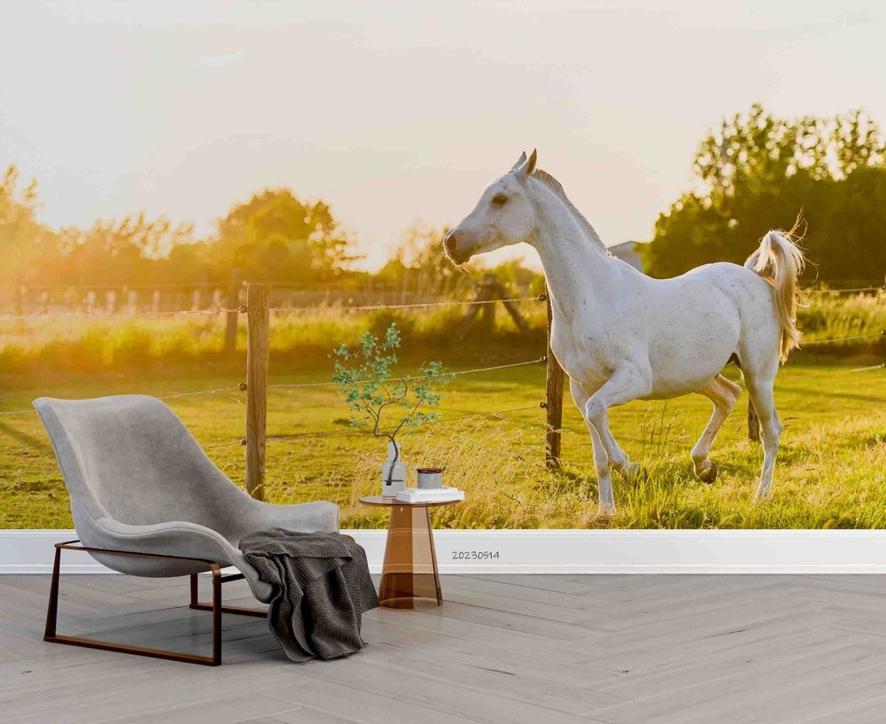 3D Meadow Sunshine Horse Landscape Wall Murals Wallpaper Murals Wall Sticker