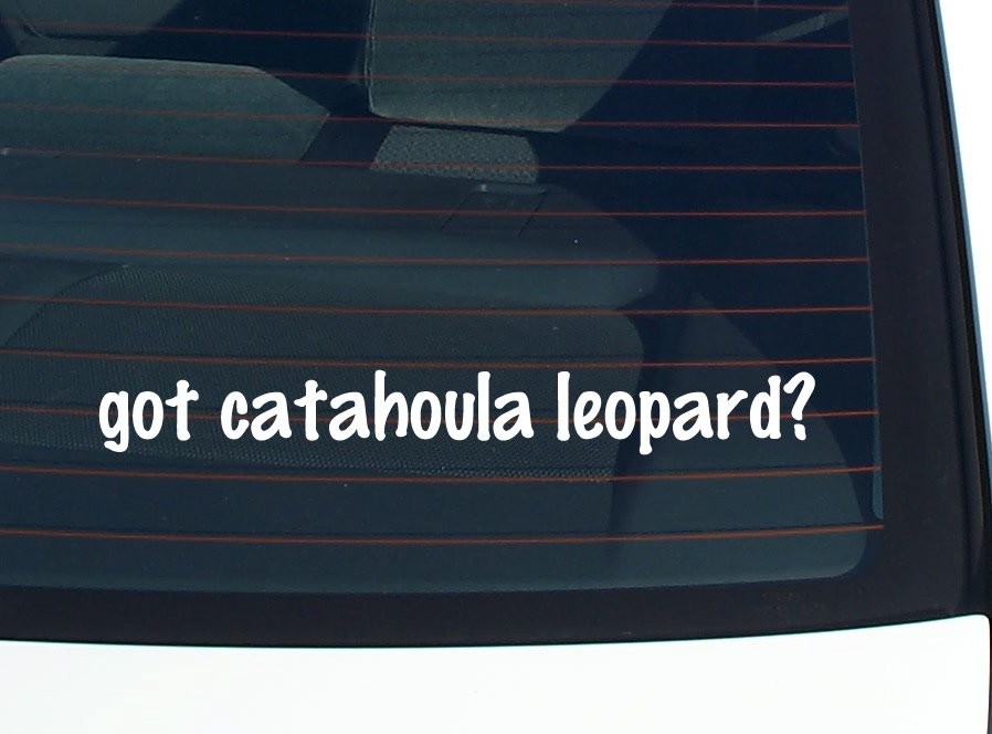 Catahoula Leopard Dog Lover Car Decal Bumper Sticker Vinyl Window Art