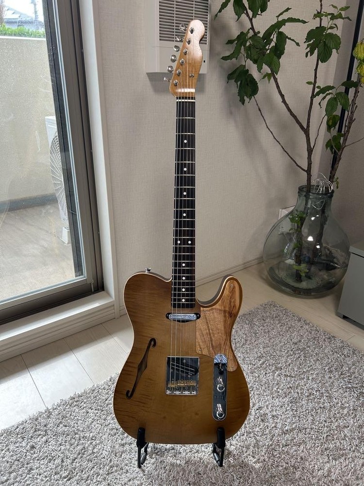 HTS Guitar Telecaster Thinline with Secure Packing  