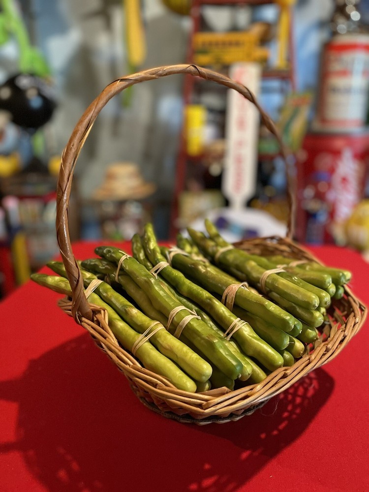 Faux Food Asparagus Spears - 20 Bundles of 3 - 60 PIECES! Display Prop Realistic