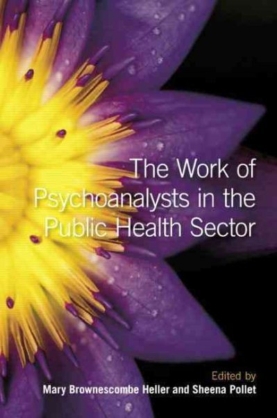 Work of Psychoanalysts in the Public Health Sector, Hardcover by Heller, Mary...
