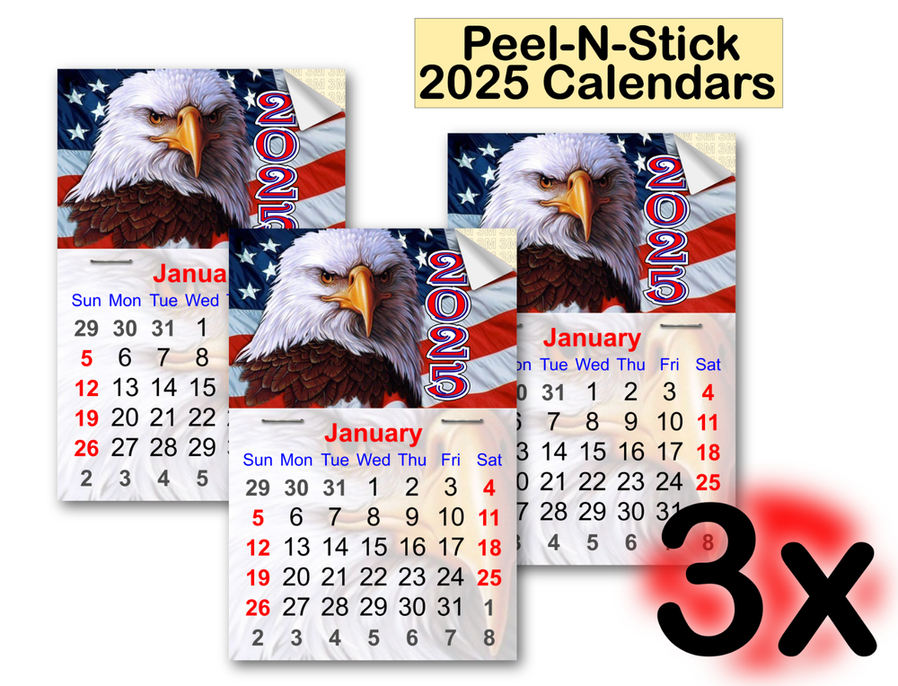 2025 Peel & Stick Calendars 3x Pcs Bundle USA Eagle Patriotic Flag-Free Shipping