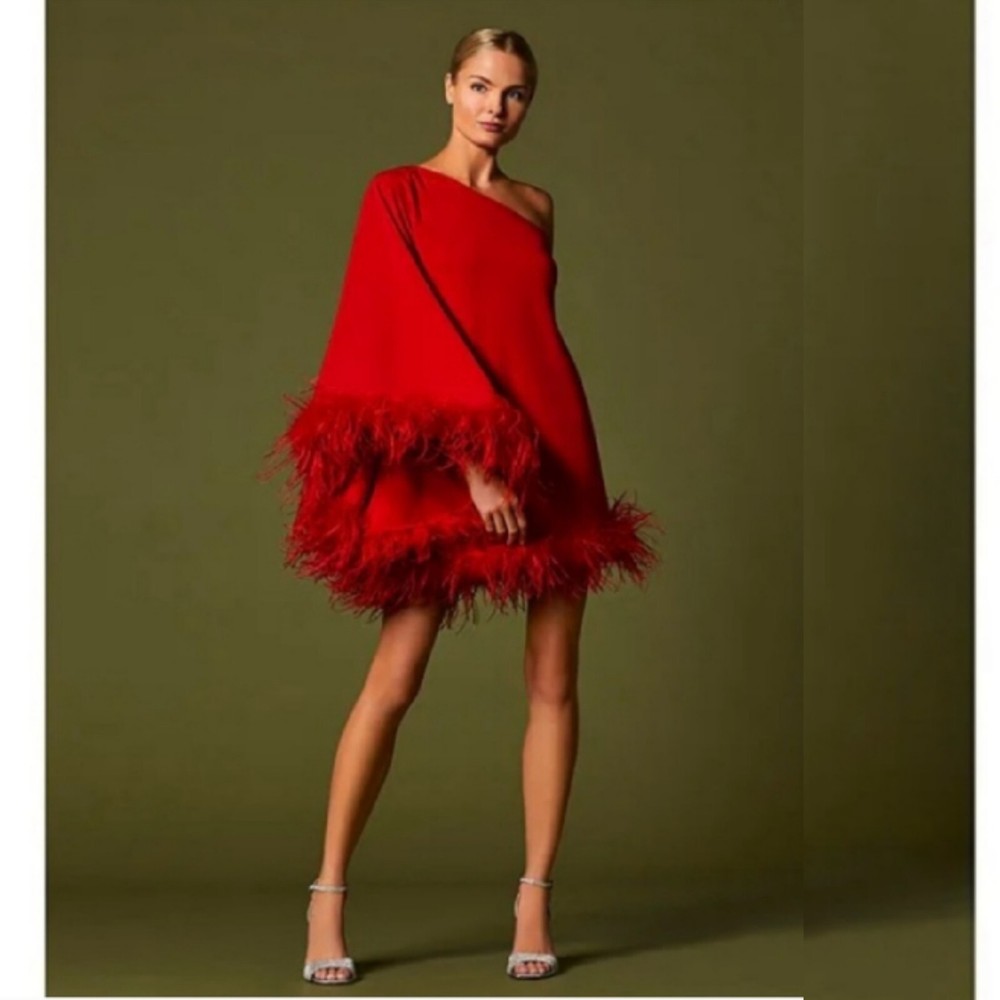 Sz 4 | Antonio Melani Cosima One Sleeve Asymmetrical Neckline Feather Trim Dress