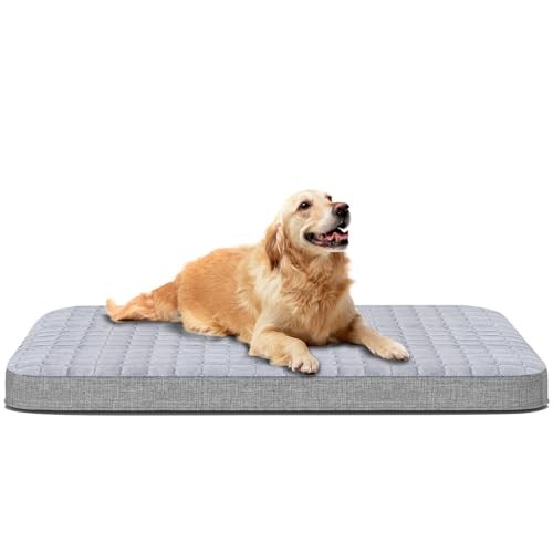 Inflatable Large Dog Bed 60x40 Inches Comfort Support for Big Dogs