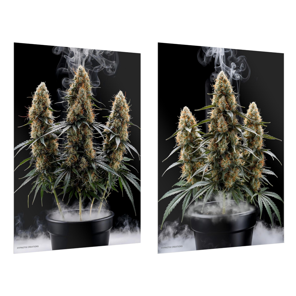 Cinematic Cannabis Semi-Gloss Poster Set | Bold Wall Art Home Office Decoration
