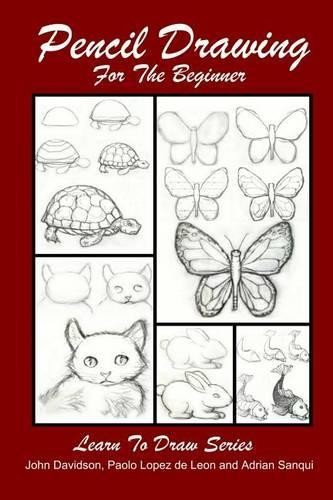 John Davidson Adrian Sanqui Pencil Drawing For The Beginner (Paperback)
