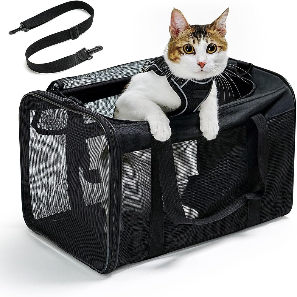 Soft-Sided Airline Approved Cat Carrier with 4-Sided Mesh for Travel