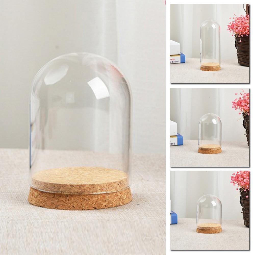 Glass Dome Terrarium with Tray for Plants and DIY Flower Arrangements  