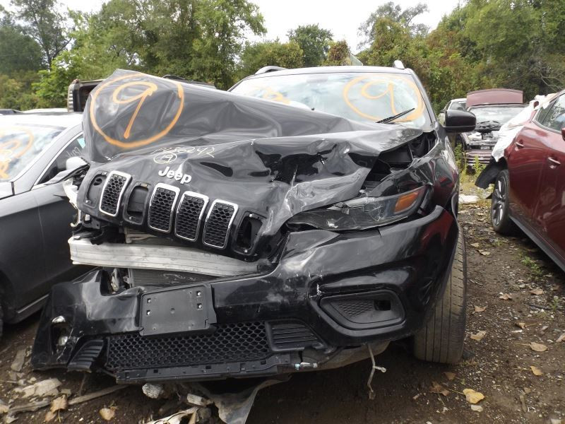 Driver Front Door Electric Tempered Glass Opt JP3 Fits 19-20 CHEROKEE 1440284