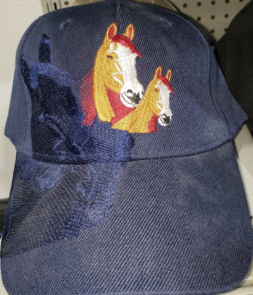 $20 New Dark Blue 