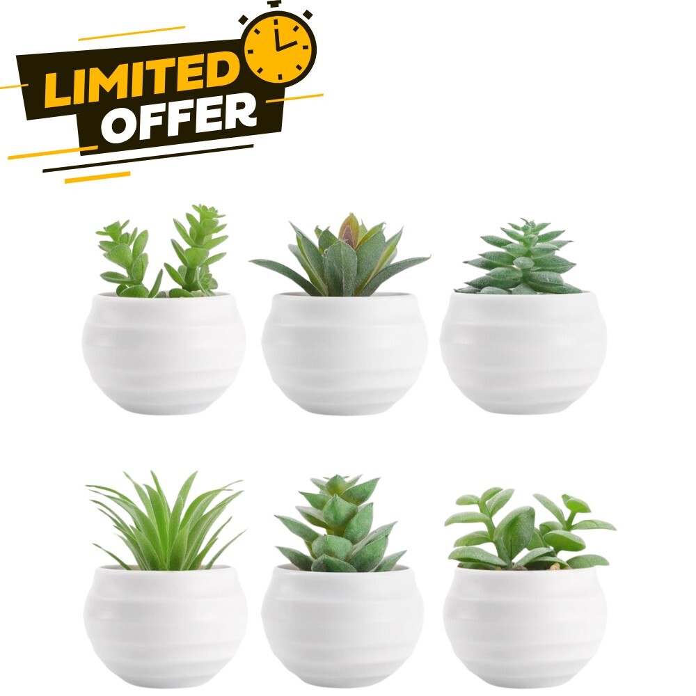 6 Small Artificial Succulent Plants in Pots for Bedroom Decor