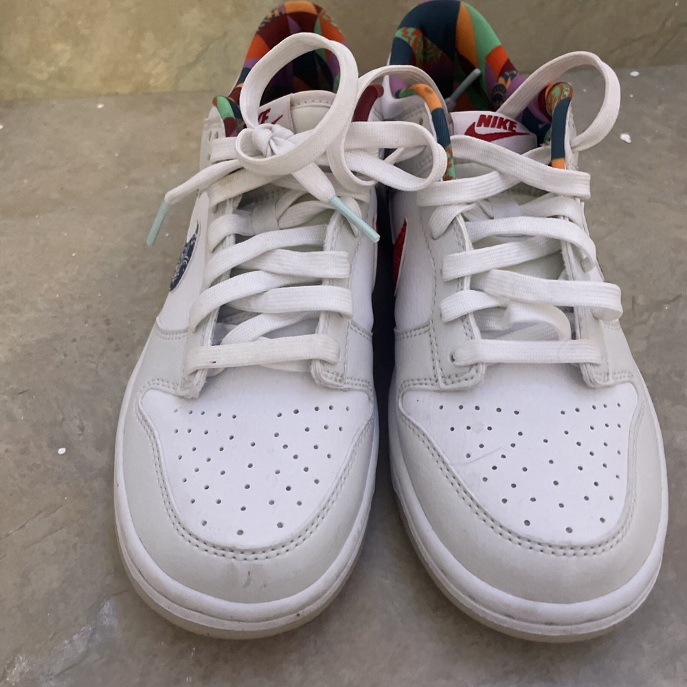 Nike Dunks Worn 2x