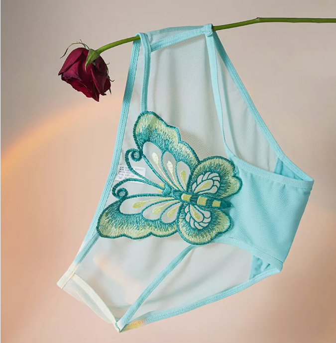 Women's Knickers Thongs G-string Panties Briefs Mesh Sheer Underwear Lingerie