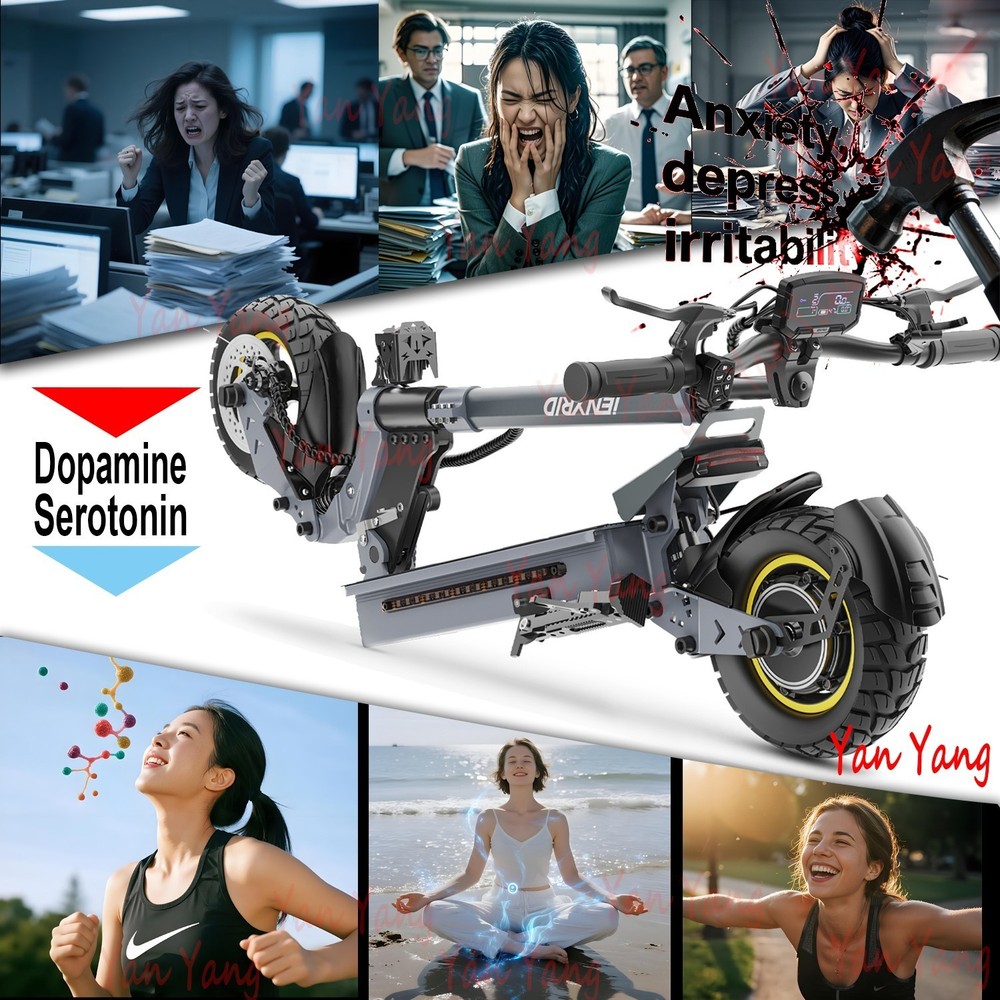 iENYRID 1000W Foldable Electric Scooter 28MPH 40KM Range 48V