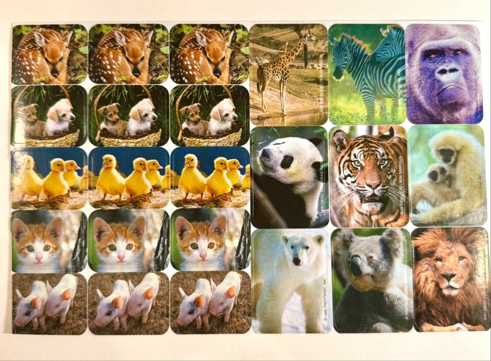 1995 Vintage Sticker Real Kitten Pig Duckling Pup Panda Zebra Polar Bear Lion +