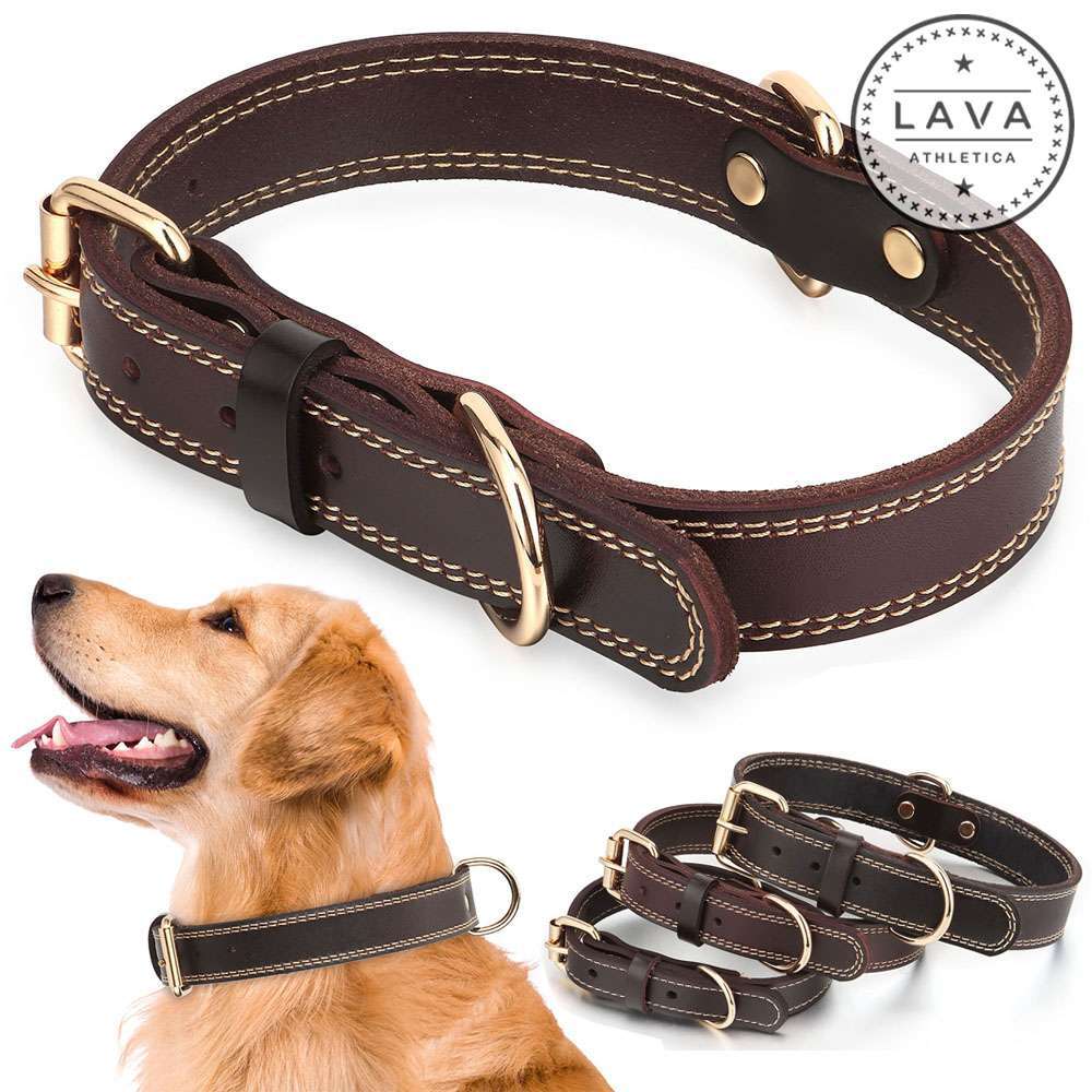 Genuine Leather Dog Collar with Durable Alloy Hardware for Medium to XL Dogs US Made