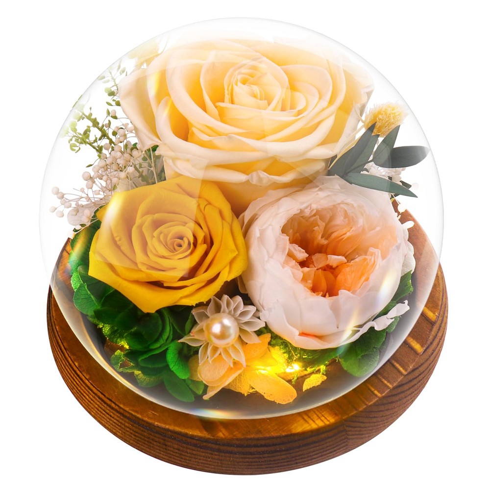 Mothers Day Rose Gift for Mom Grandma - Preserved Eternal Rose in Glass Dome-image