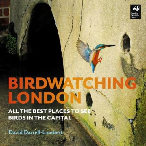 David Darrell-Lambert's Guide to Birdwatching in London Paperback