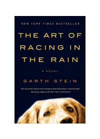 Art of Racing in the Rain Novel by Garth Stein 2018 Paperback Edition
