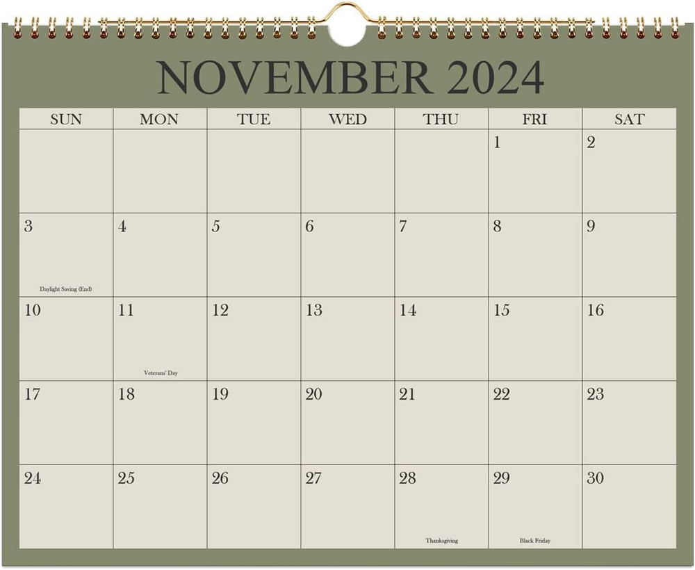 Calendar 2024-2025, Wall Calendar from November 2024 - June 2026, 20 Months Cale