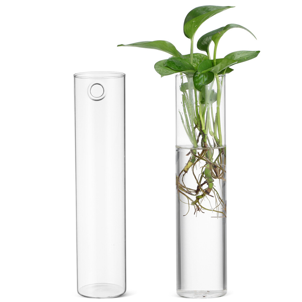 2 Pcs Wall-Mounted Hydroponic Glass Tube Vases Hanging Terrarium Planters  