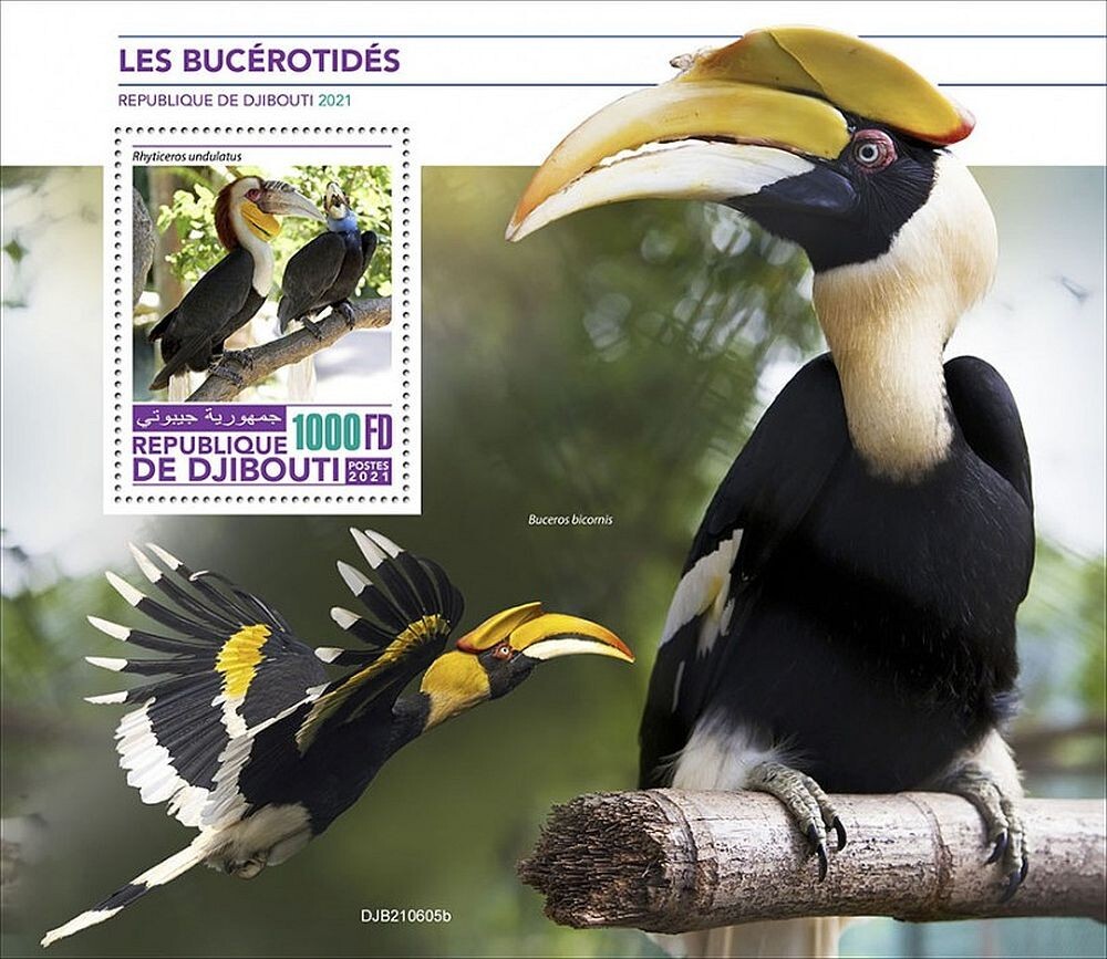HORNBILLS 1-Value MNH Bird/Birds Stamp Sheet #206 (2021 Djibouti)