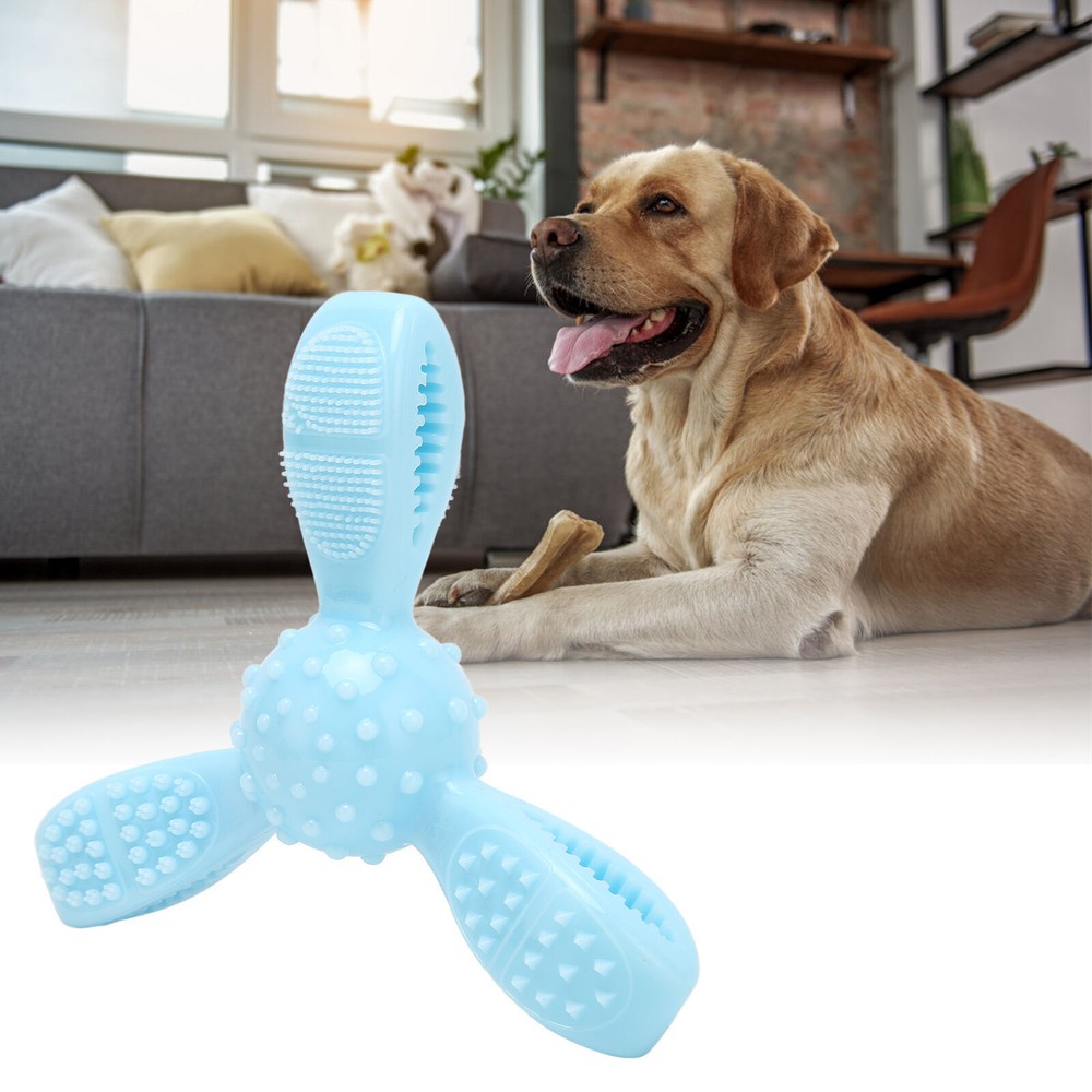 Dog Chew Toy Multifunctional Bite Resistant TPR Washable Pet Dog Chewing Toys