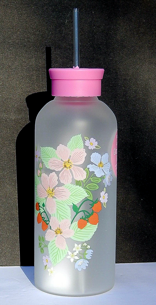 OCS Designs 25oz Reusable Glass Water Bottle with Straw Authentic New