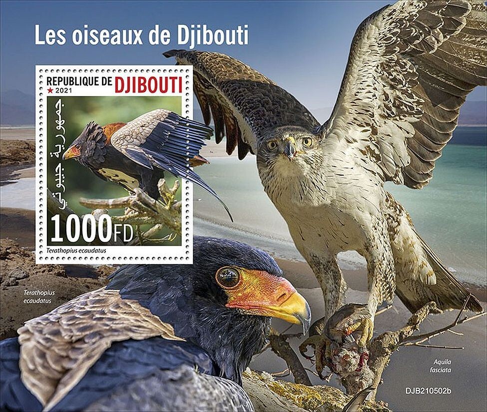 THE BIRDS OF DJIBOUTI 1-Value MNH Bird/Birds Stamp Sheet #204 (2021 Djibouti)