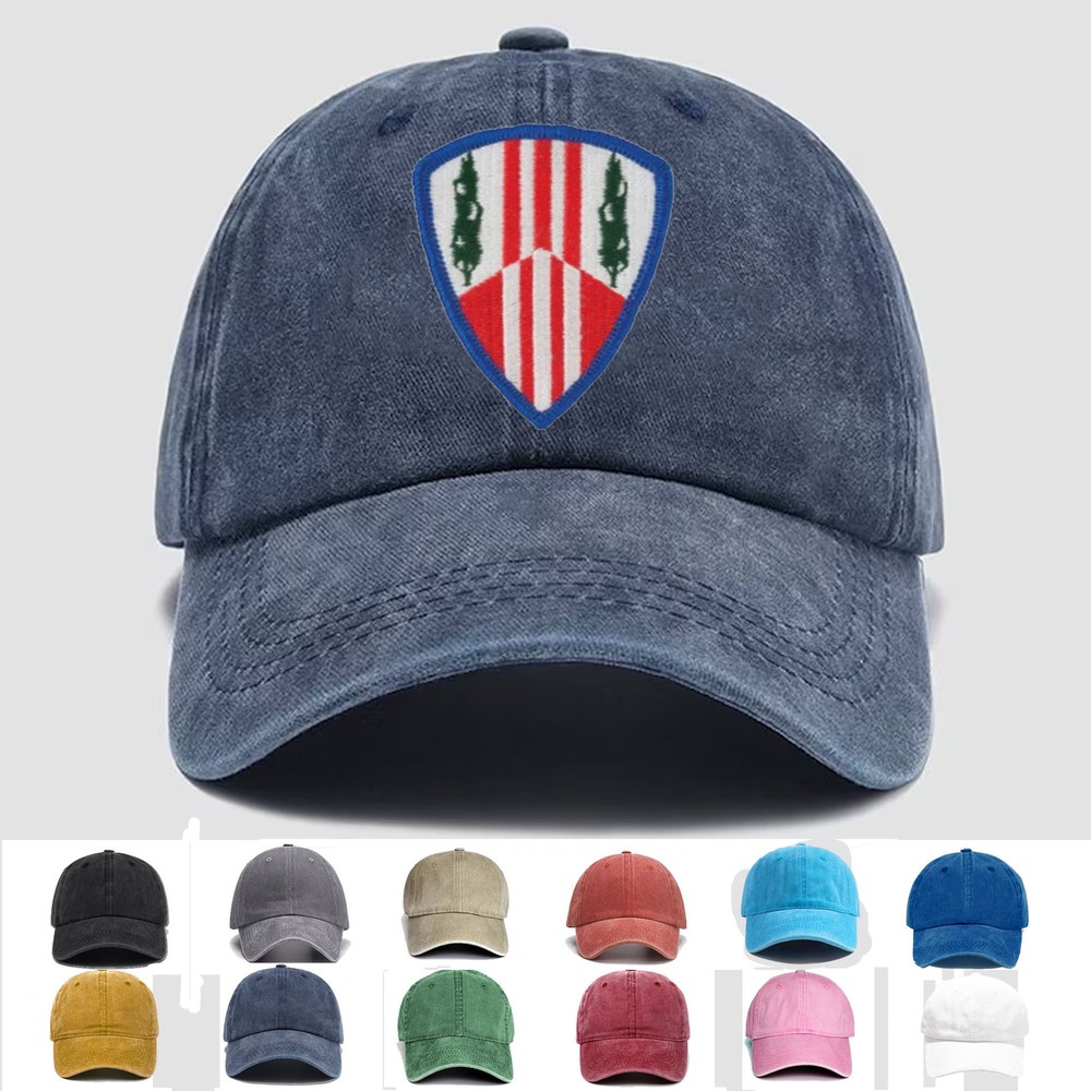 Custom Embroidered Hat 369th Sustainment Brigade, Veteran Cap, Trucker Hat, Gift
