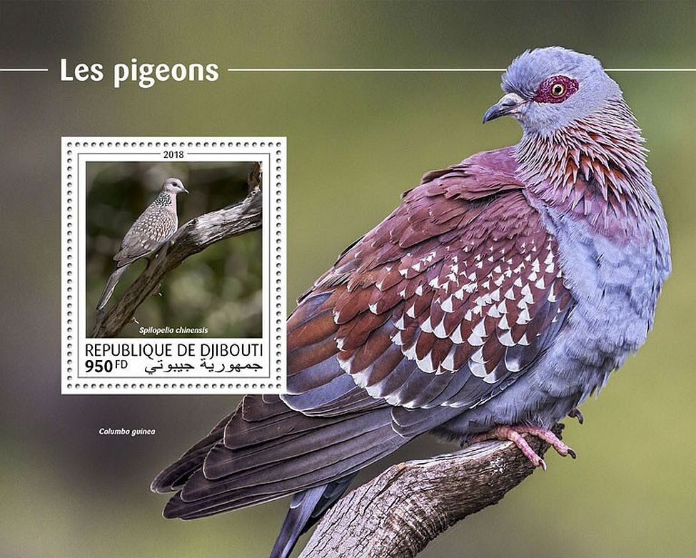 PIGEONS 1-Value MNH Bird/Birds Stamp Sheet #144 (2018 Djibouti)
