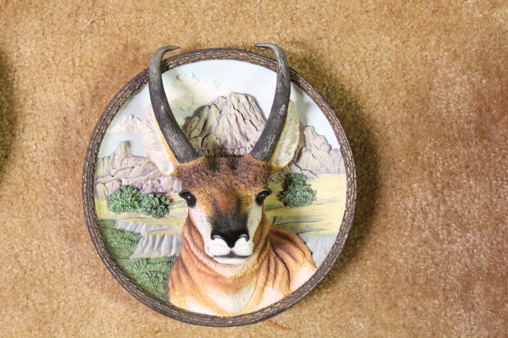 Pronghorn Nature's Nobility Wild Bradford Plate 8710
